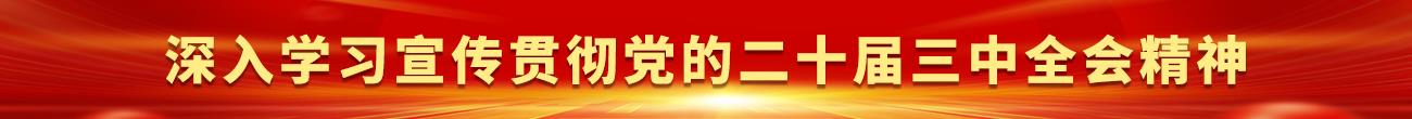 深入学习宣传贯彻党的二十届三中全会精神