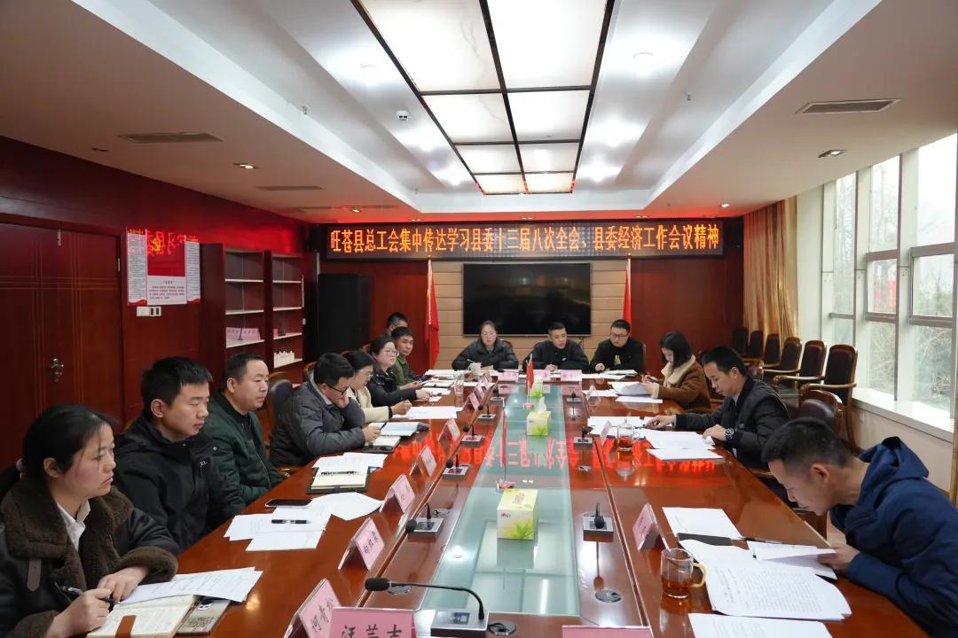 县总工会党组召开专题会议传达学习县委十三届八次全会精神